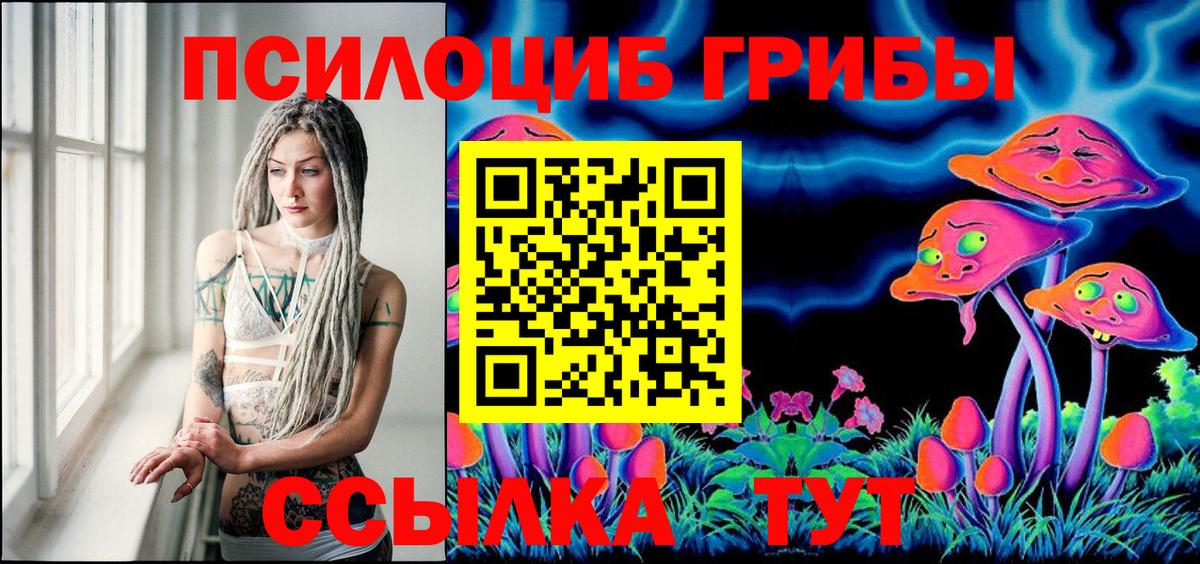Псилоцибиновые грибы Cubensis Сочи