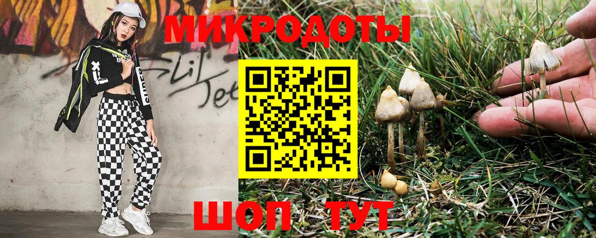 Псилоцибиновые грибы прущие грибы  закладки  Сочи  Вход с VPN 